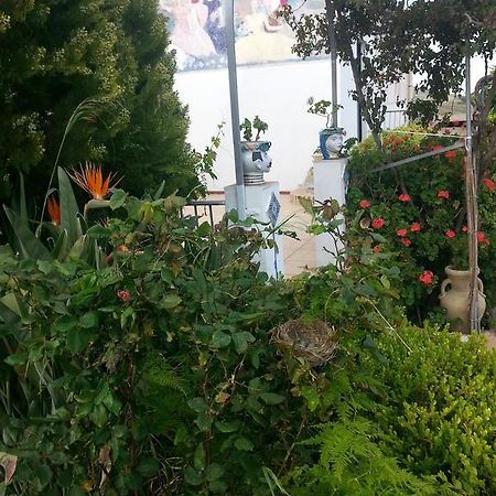 Assoro B&B La Casa Dell'Artista المظهر الخارجي الصورة