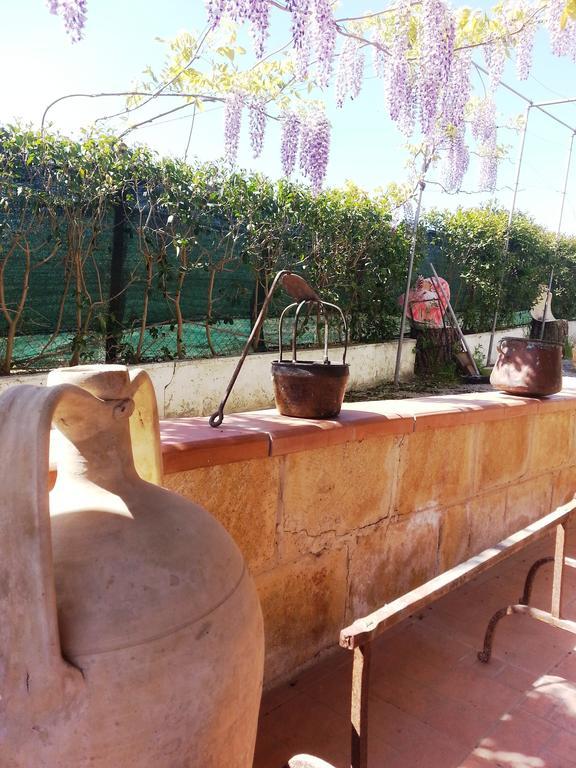 Assoro B&B La Casa Dell'Artista المظهر الخارجي الصورة