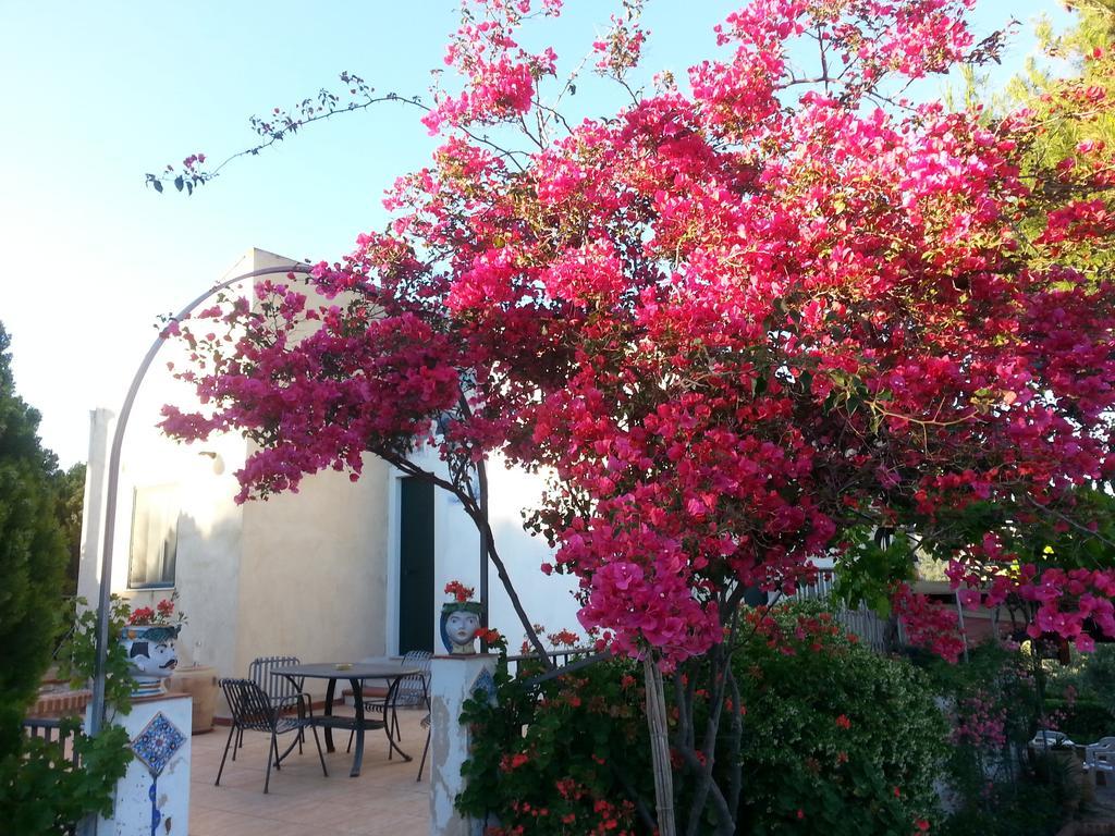 Assoro B&B La Casa Dell'Artista المظهر الخارجي الصورة